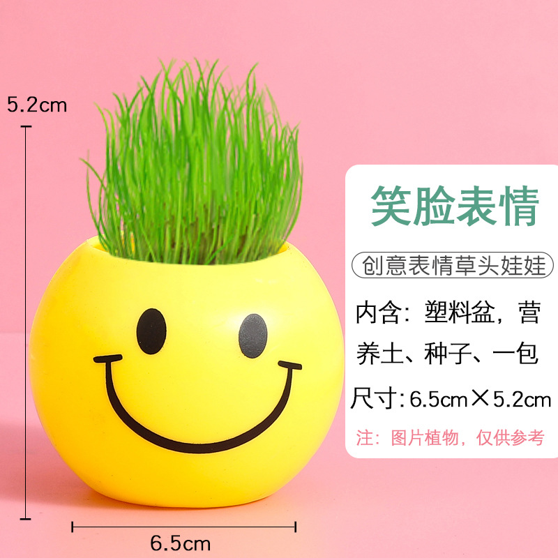 Children's Planting Festival Planting Small Pot Plant Mini Potted Grass Doll Office Desk Surface Panel Green Plant Small Ornaments Plants