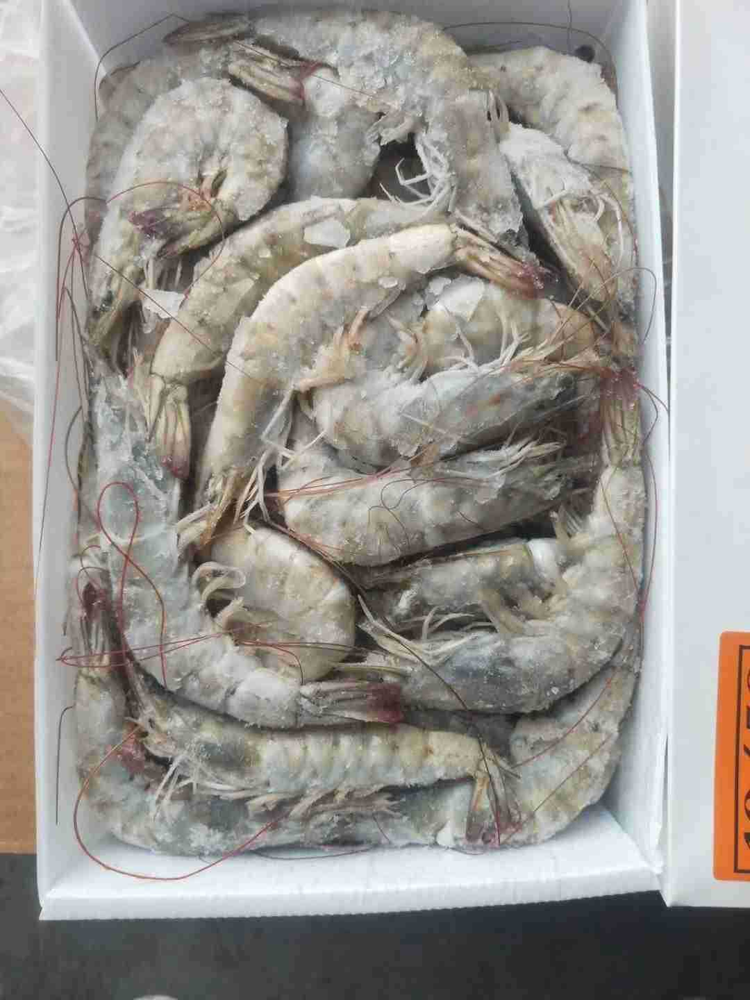 批发批发冷冻厄瓜多尔南美白对虾50-60盐冻4斤生鲜食品酒店食材