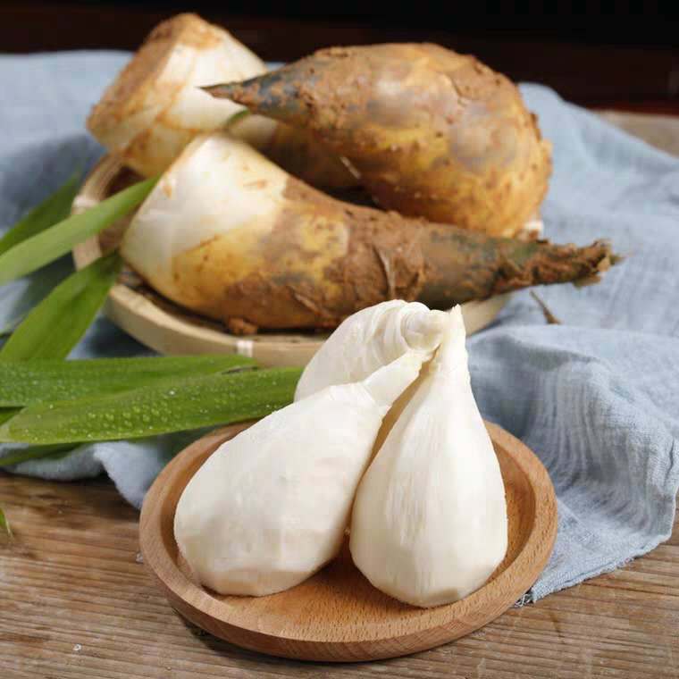 马蹄笋新鲜现挖种植福建漳州农家甜笋带壳去老根绿笋