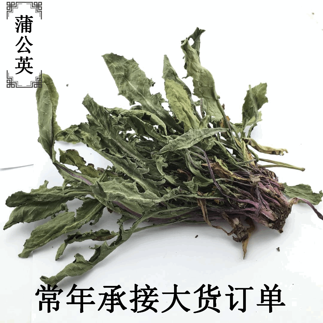 新草 蒲公英干草 兔子荷兰猪牧草豚鼠龙猫主粮干净 宠物草粮h