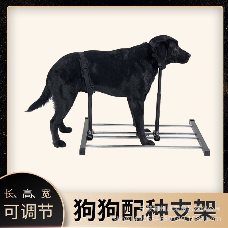 大中小犬配种架配狗架5-120斤狗通用 法牛柯基柴犬比特马犬德牧等