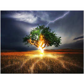 厂家直销 diy数字油画新款闪电树手绘风景装饰油画外贸货源定制