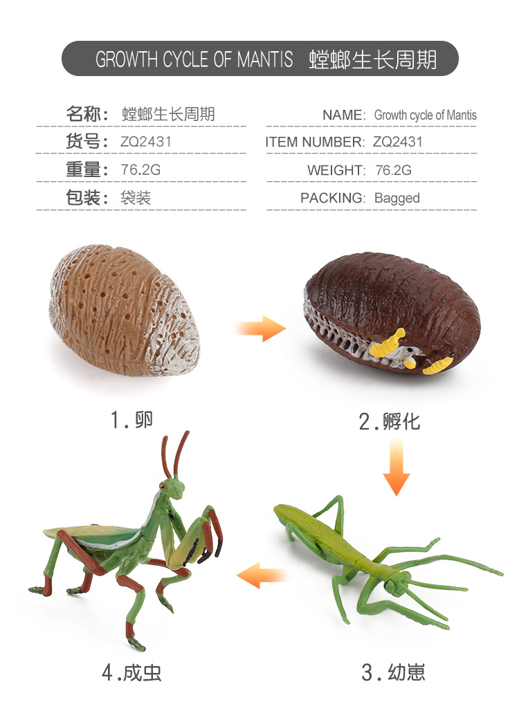 跨境仿真实心肢节昆虫动物模型眼镜蛇螳螂甲虫沙盘场景摆件科教