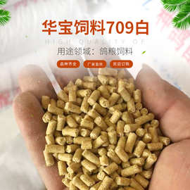 现货批发 供应五谷杂粮 鸽粮 华宝饲料709白