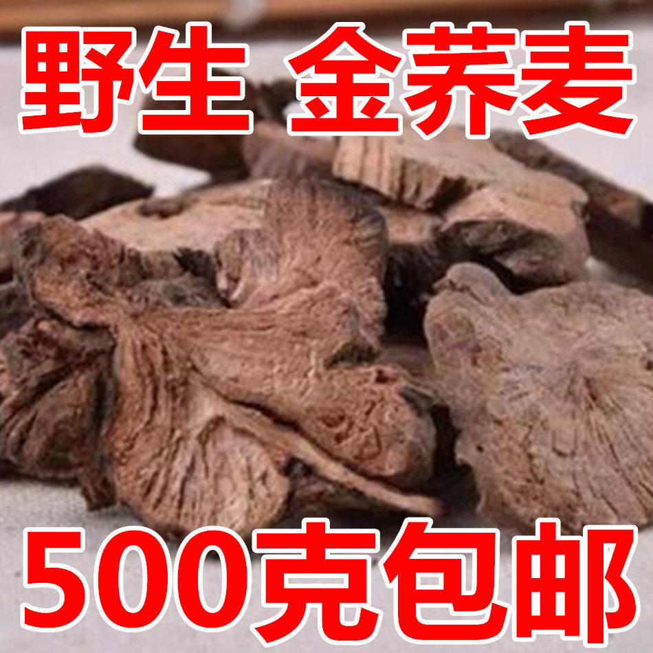 安徽金荞麦