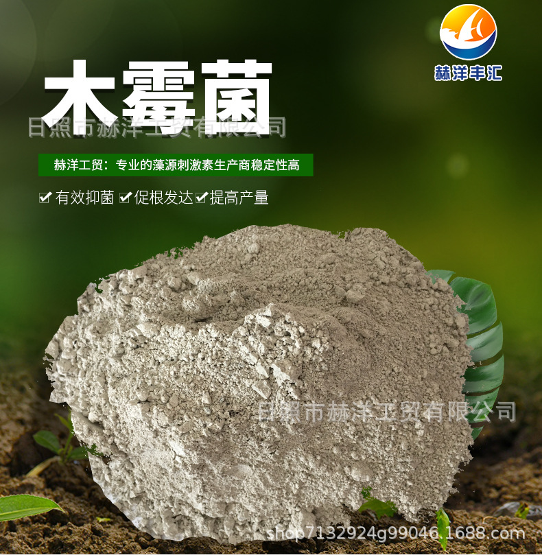 出口级全水溶木霉菌 微生物菌剂 绿色木霉 生物有机肥