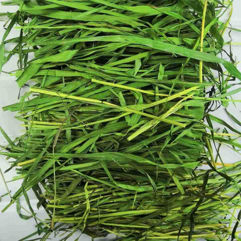 烘干麦草是我们合作社种植烘烤的!我们真诚的与客户合作!保证质量!