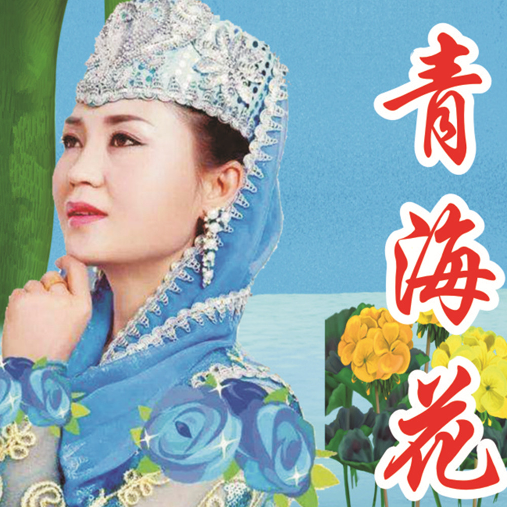 青海花儿音频卡戏曲u盘东青海花儿歌曲跑江湖产品tf卡