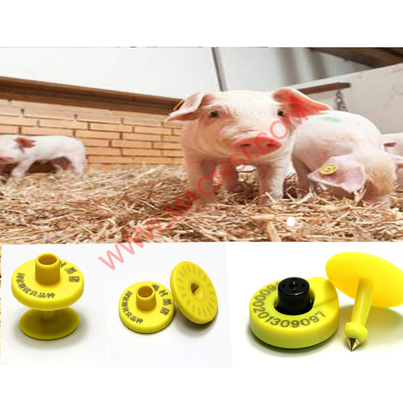 动物耳标rfid电子猪耳标 动物朔源管理tk4100猪牛羊耳标标签厂家