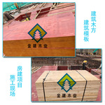 建筑模板 广东厂家批发 建筑模板 工地用建桉木木模板 周转次数多
