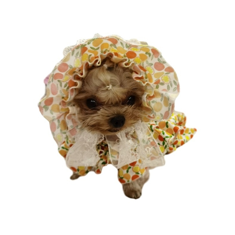 狗狗衣服 宠物衣服 约克夏泰迪法斗柯基连衣裙 英伦贵妇装