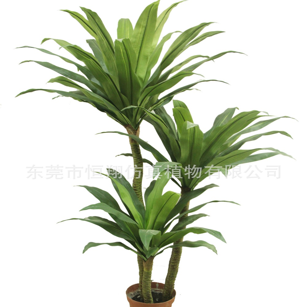 仿真巴西铁树室内富贵树巴西铁盆栽北欧风客厅小植物2米假树摆件