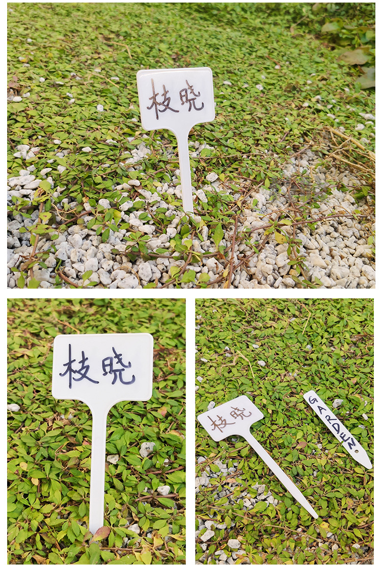 枝晓塑料大中小号插地花牌多肉植物园艺标签标识牌指示牌地插花牌