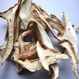 青杠菌  青冈菌干片500克一件 云南农产品野生菌批发 产地直销