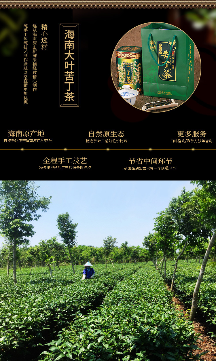 海南大叶苦丁茶冬青特产五指山新茶茶叶250g代贴牌工厂销售