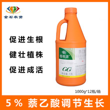 国光植根源萘乙酸生根剂大桶实惠装苗木移栽古树复壮生根粉生根液