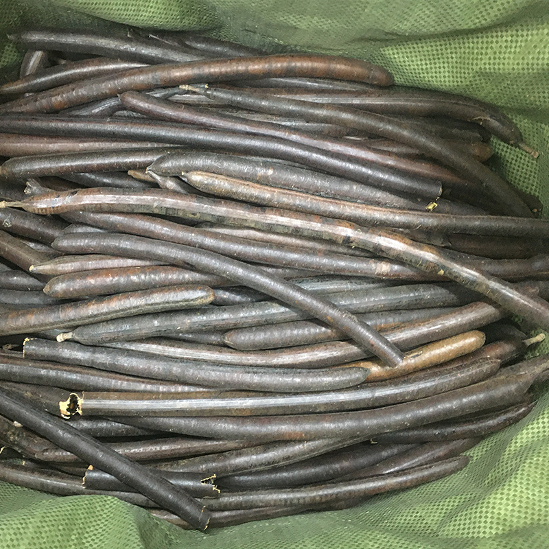 大货批发一手货源腊肠树果缅甸便秘果500g厂家直批大解果一件代发