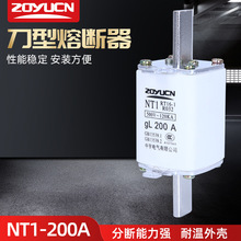 中宇低压熔断器NT1 200A熔芯熔断器芯子陶瓷保险丝RT16-1熔芯200A