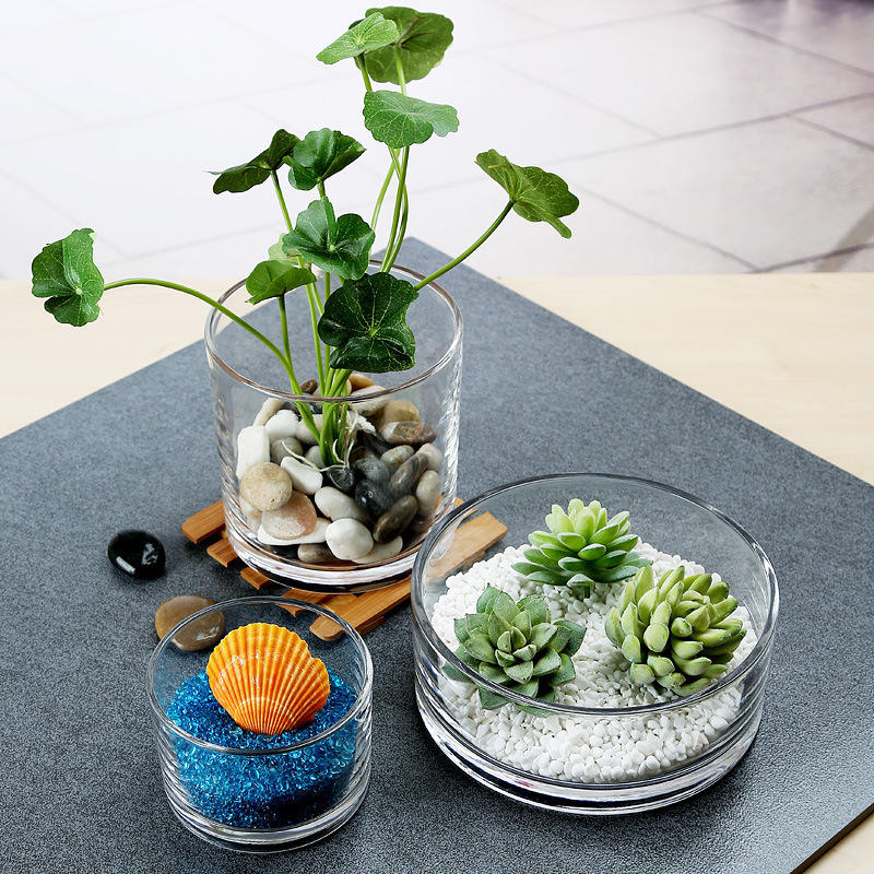 厂家批发圆形玻璃花瓶金鱼缸水仙花铜钱草睡莲客厅大号矮花盆器皿