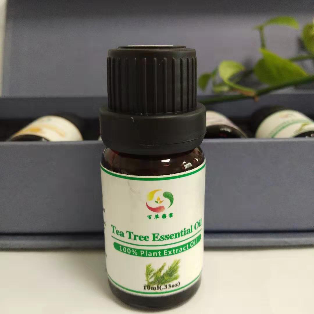 厂家直销茶树油 天然茶树精油;互叶白千层油 68647-73-4