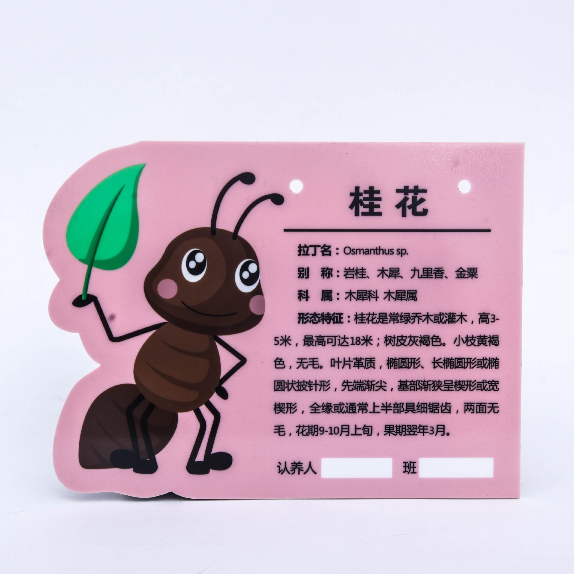 花草牌亚克力树牌植物铭牌标识志牌树木介绍挂牌木广告牌定制标牌