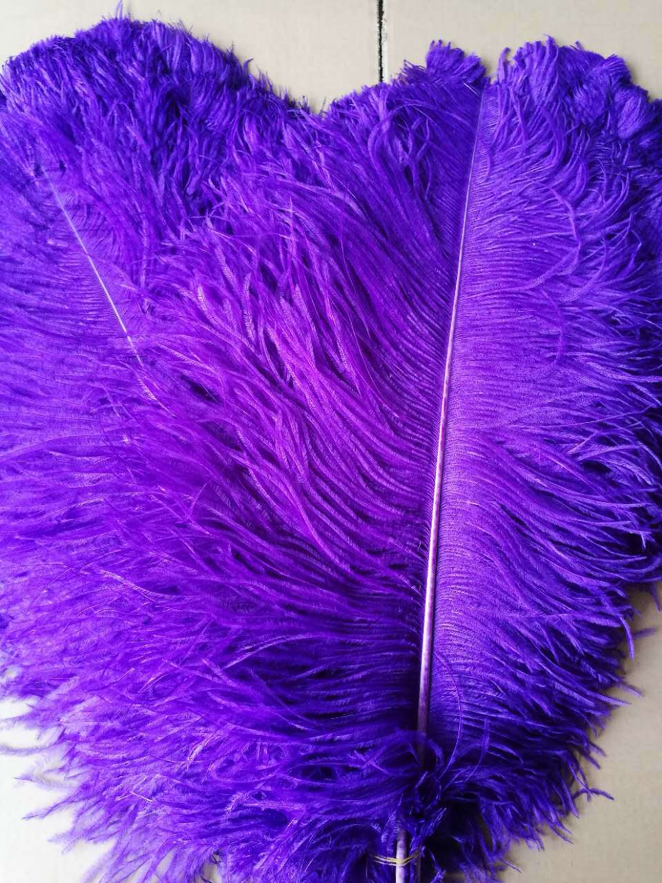 南非天然鸵鸟羽毛 酒店橱窗婚庆桌花装饰可染色鸵鸟毛批发15-75cm