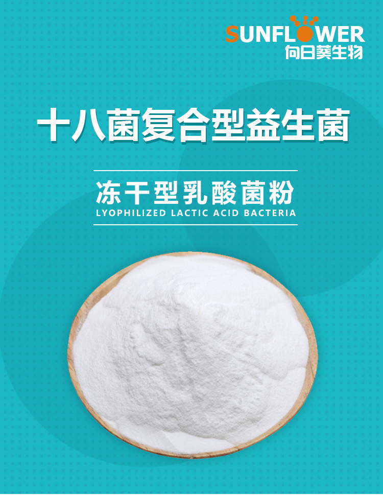 十八菌复合型益生菌原料益生菌冻干粉乳酸菌 复合益生菌源头厂家