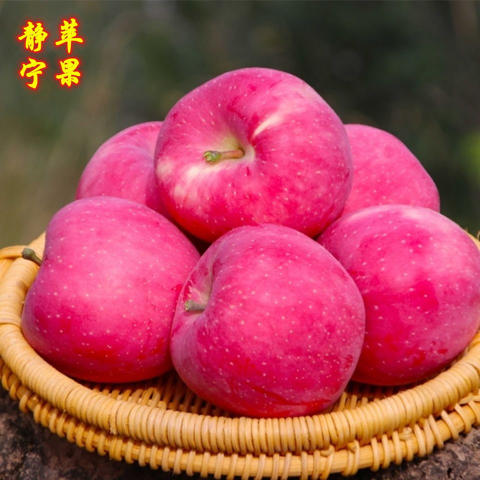 甘肃静宁脆甜红富士苹果应季新鲜孕妇水果红苹果5/10斤整箱批发