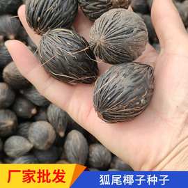 2%天然椰子树船形香薰蜡烛香氛精油蜡烛扩香植物精油蜡定货礼品单青岛