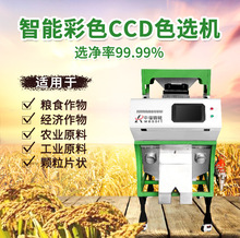厂家供应杂粮色选机小米燕麦小麦精分筛选机器智能小型杂粮色选机