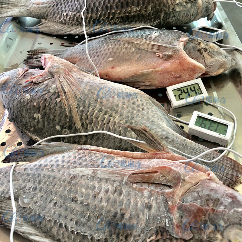 茂名水产罗非鱼急速冷冻保鲜速冻柜 多功能食品速冻柜笙产速冻机