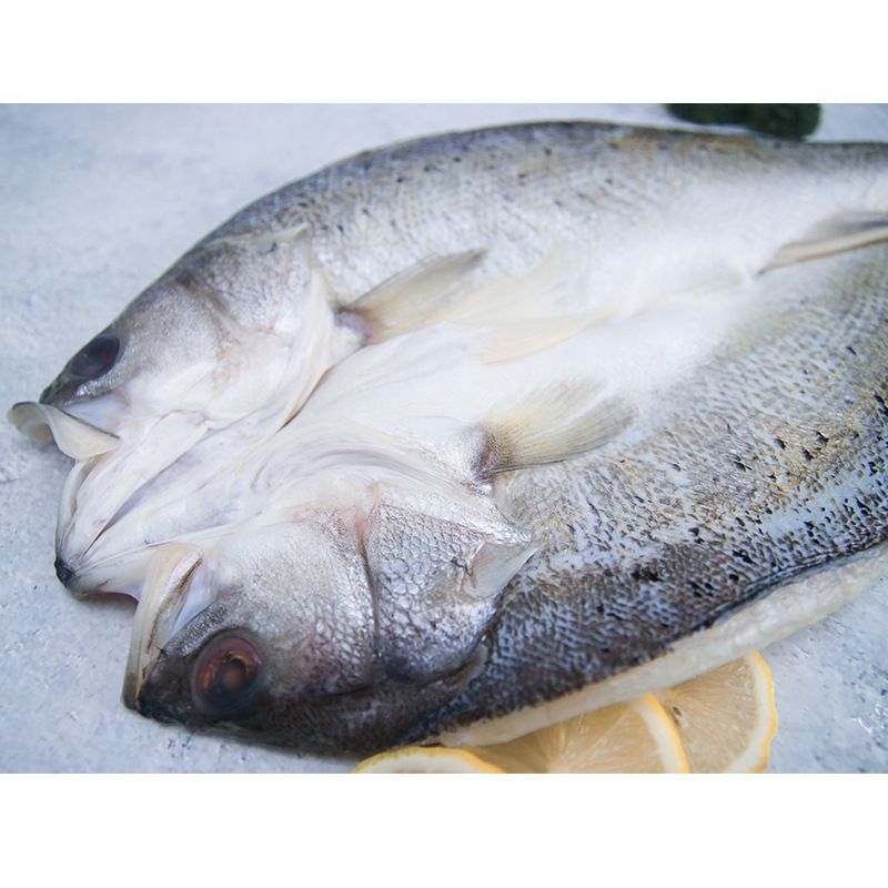 新鲜海捕鲈鱼海鲜水产鲜活速冻七星花鲈鱼新鲜深海鱼海鲈鱼500克