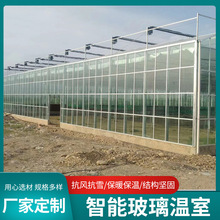 玻璃温室.连栋薄膜温室.智能农业温室.农业科技菜棚花卉大棚