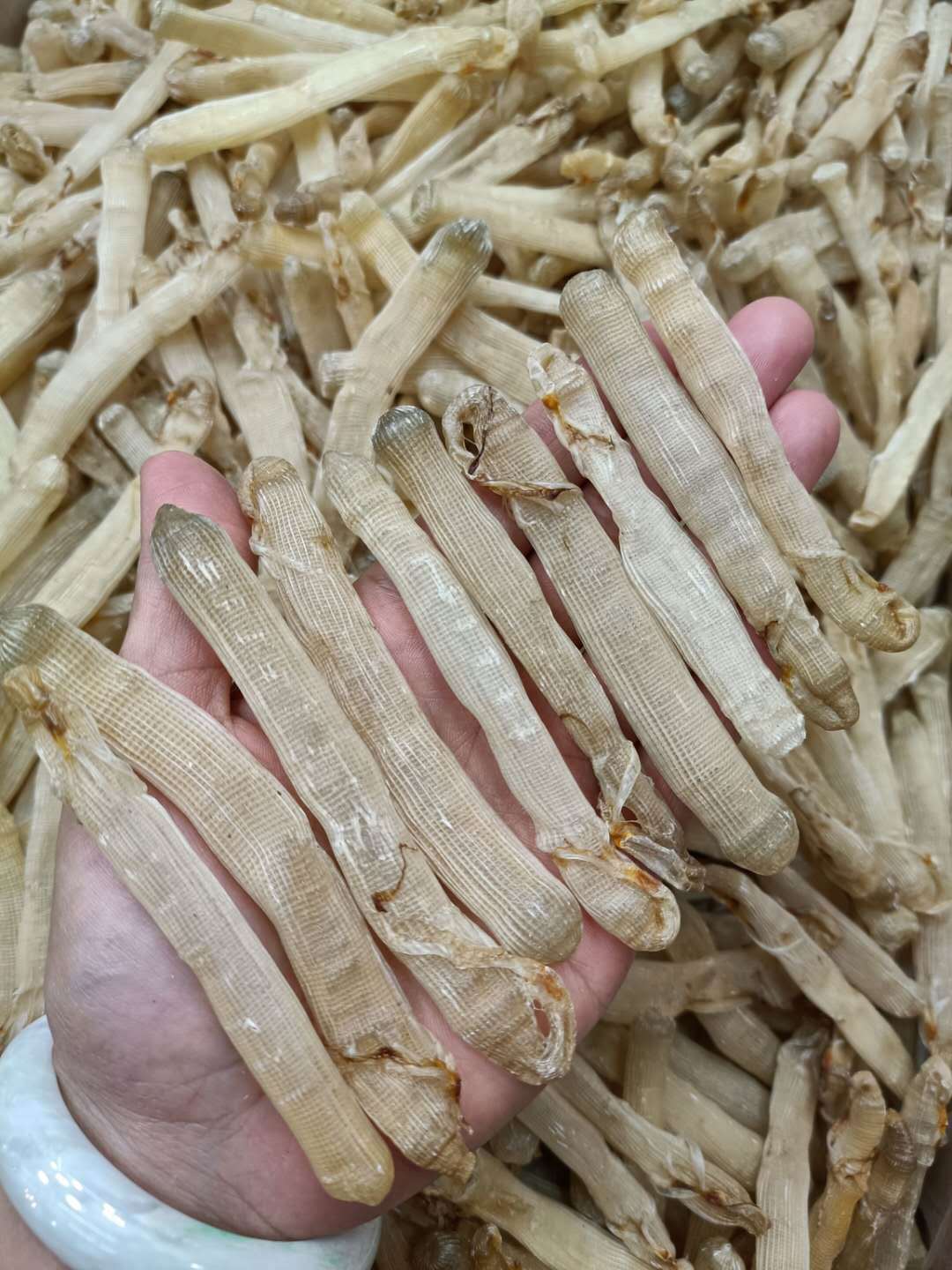 厂家直销 一德路海味大号沙虫干500g去沙袋新鲜海味沙虫干货现货