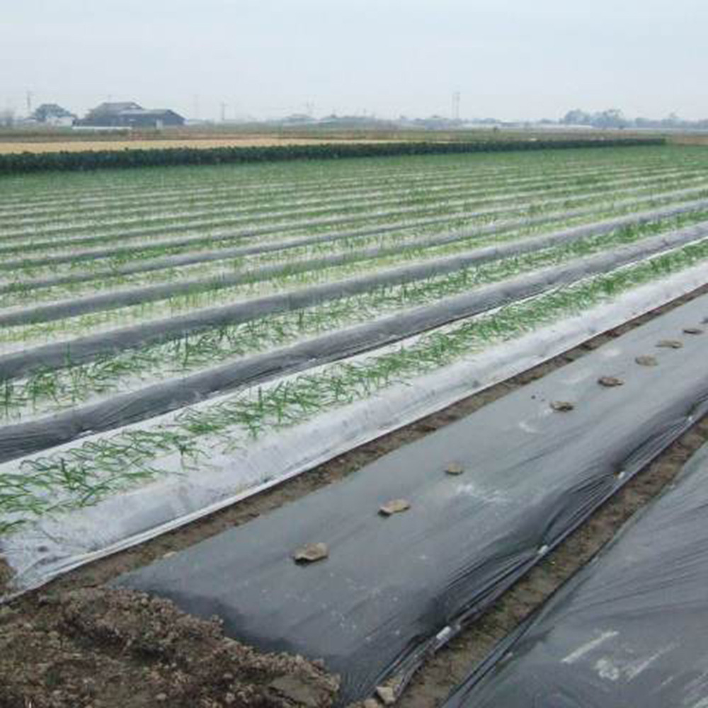 pla全生物降解地膜生物膜农用保温除草地膜定做全降解膜