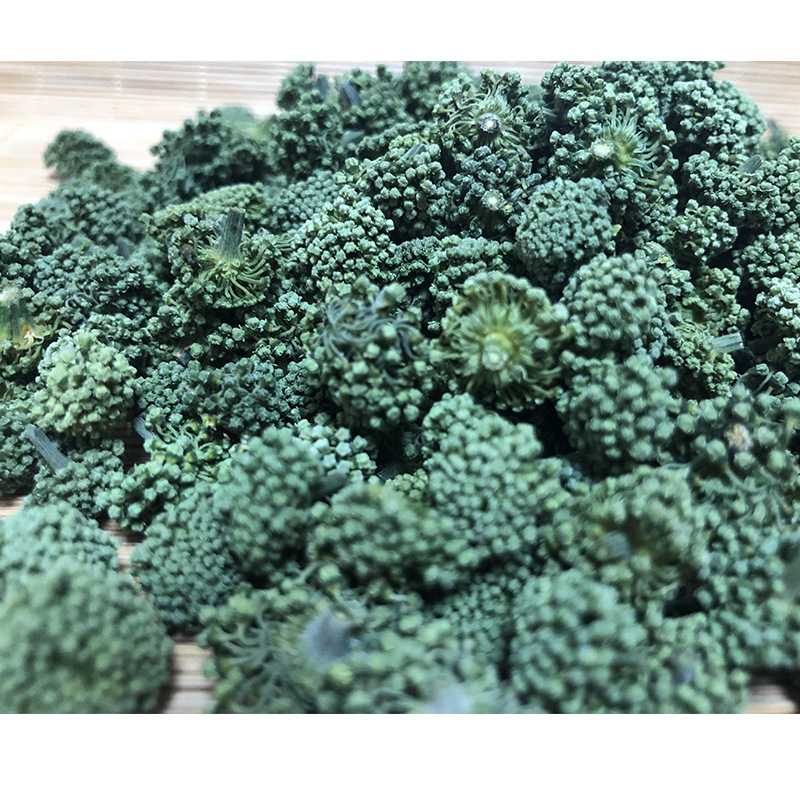 山中宝云南文山三七花 2023年三年花田七花茶 50克一瓶装三七花
