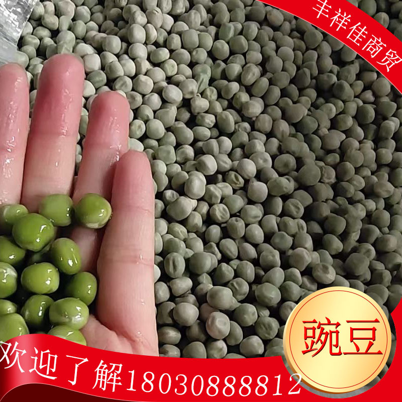 2020 地摊豌豆 厂家批发直发 10元3斤现货供应模式  质量好