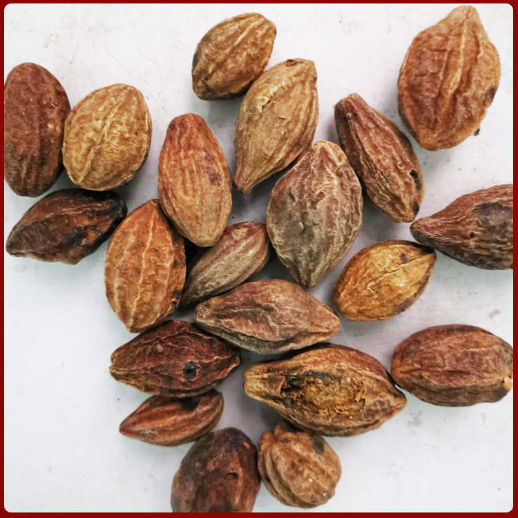 金诃子汉服大金果诃子肉中药材批发规格齐全