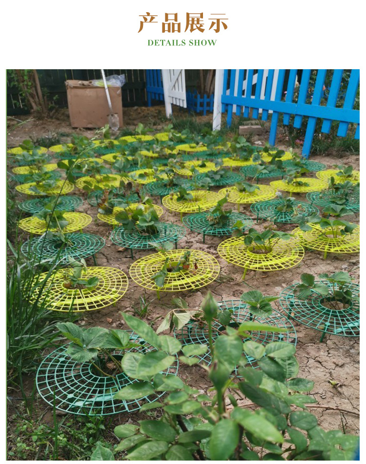枝晓 草莓架 阳台盆栽种菜架 草莓园专用家用支撑架