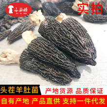 云南特产新货剪脚头茬羊肚菌批发菌类干货实拍羊肚菌干货散装250g