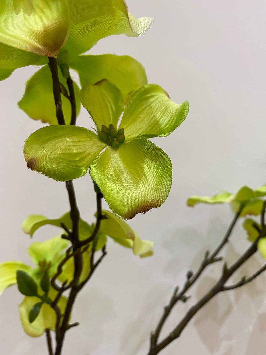 枸木花厂家直销仿真植物仿真花现代家居装饰花艺摆设玄关客厅假花