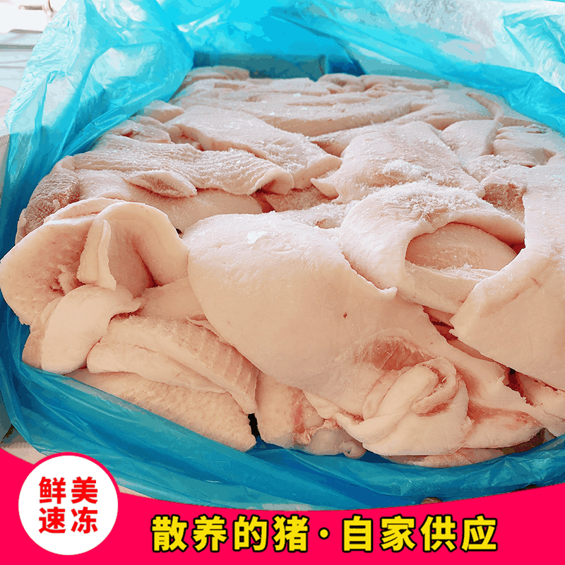 厂家销售冷冻猪油肥膘 炼油肥肉膘油 冷冻生碎膘大膘板油 可批发