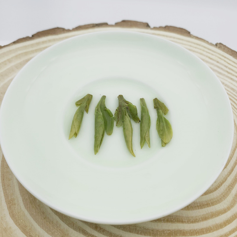 乌牛茶叶三江春高山云雾茶头采嫩芽2022新茶绿茶新款一件代发