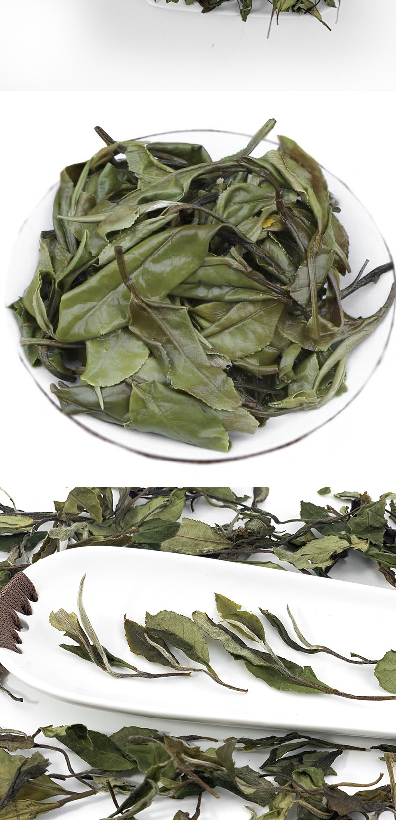 2018年华茶一号福鼎白茶荒野白毛茶春茶高山日晒500g厂家批发定制