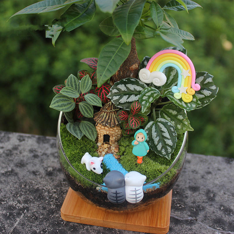 耐热玻璃微景观 切口玻璃瓶苔藓多肉微景观diy造景瓶景观瓶