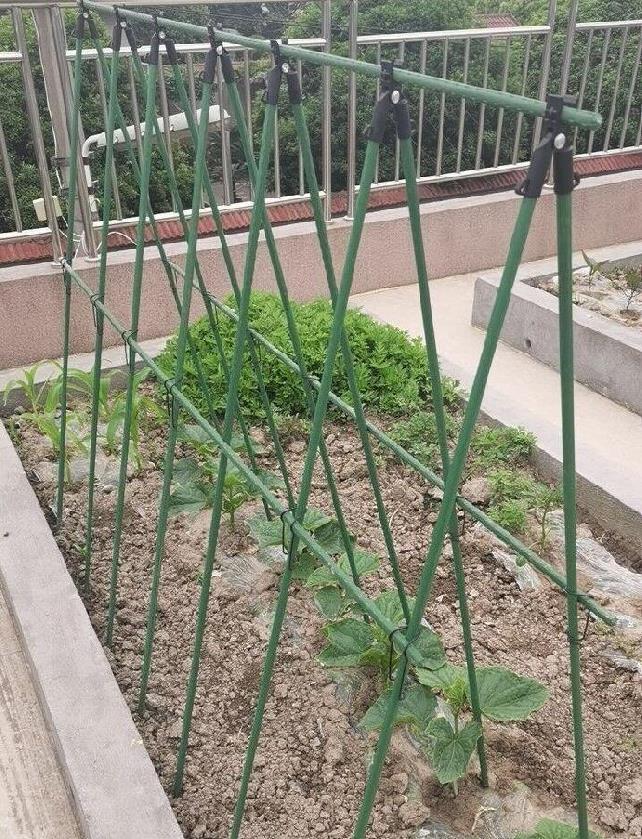 搭架棚子天台花园冬瓜架绿植屋顶外面葡萄架爬藤简易绿萝花简单