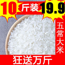 五常大米10斤东北大米20斤装批发稻花香粥米长粒香米新米