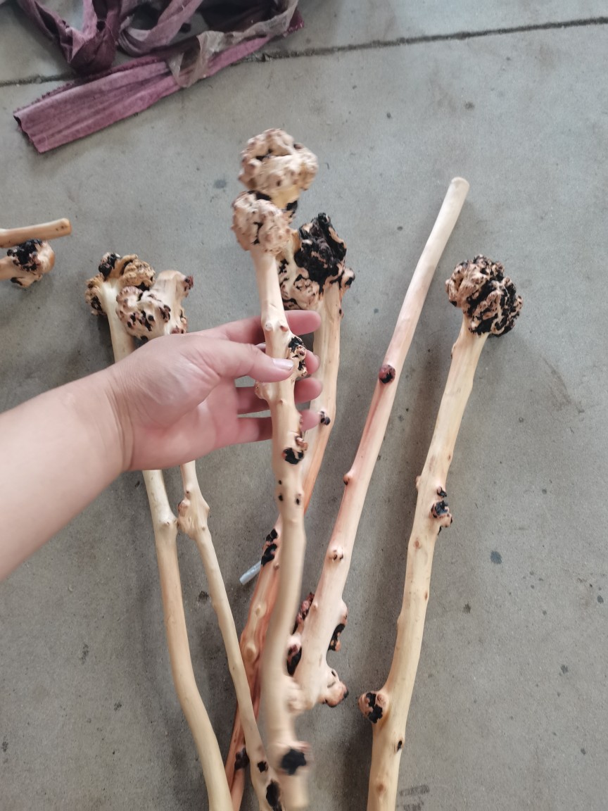 山茶木棍子 崖柏随行健身棍 健身捶木质健身棍子厂家直供