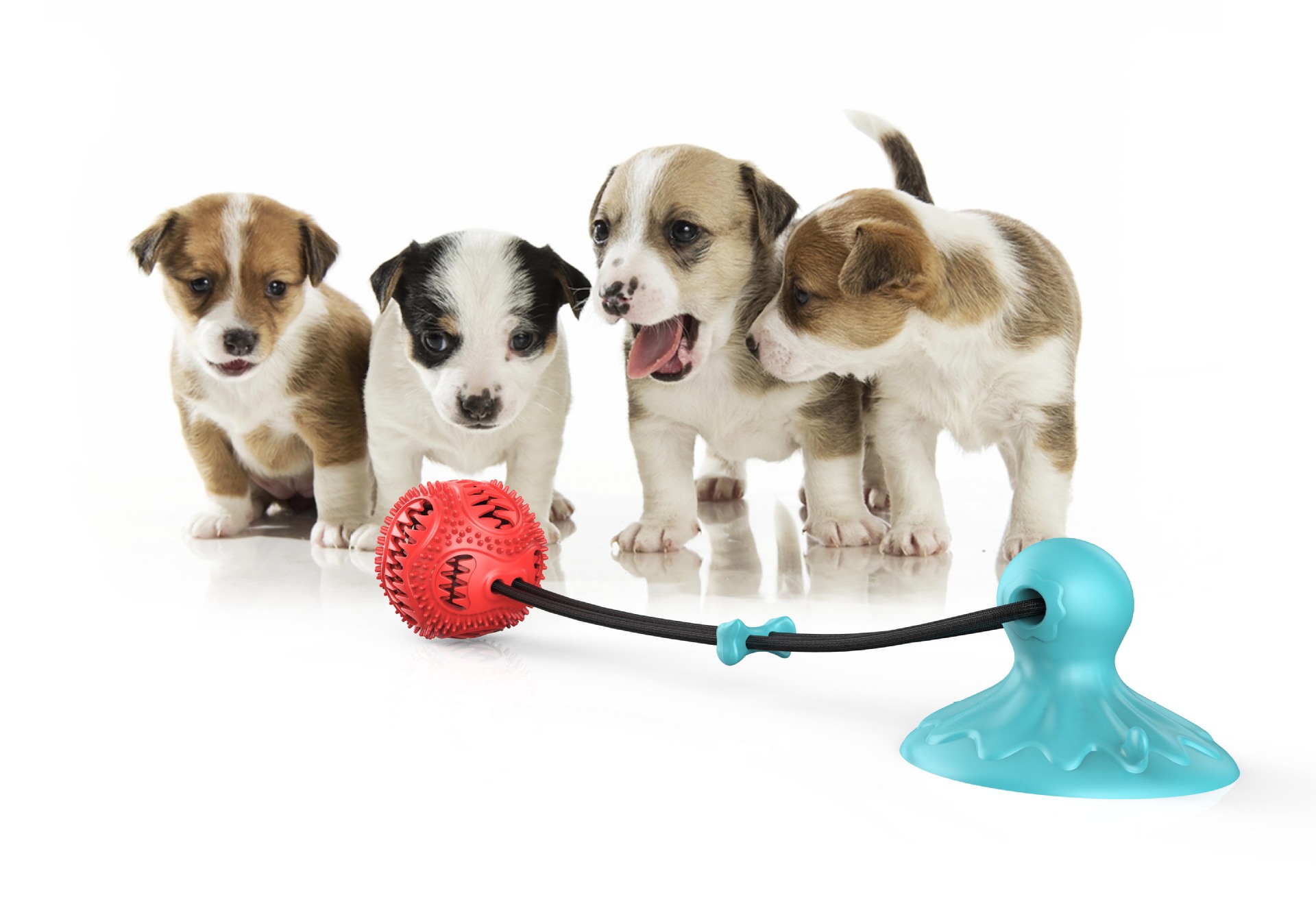 吸盘宠物球 狗狗咬合玩具牙齿清洁训练球吸盘拉绳宠物漏食球