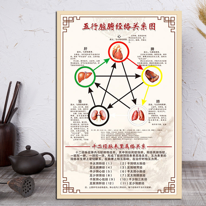 五行脏腑关系经络挂图表十二经络中医养生图片挂图墙贴挂画美容